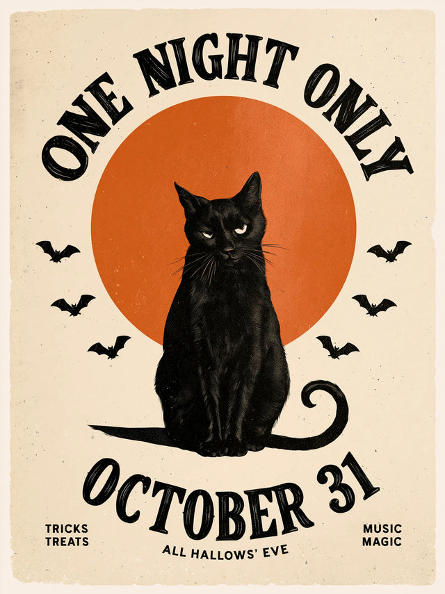 Black Cat One Night Only Wall Art Decor