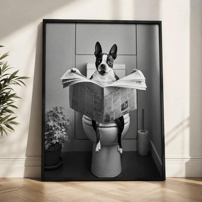 Boston Terrier Reading Newspaper Wall Art Decor