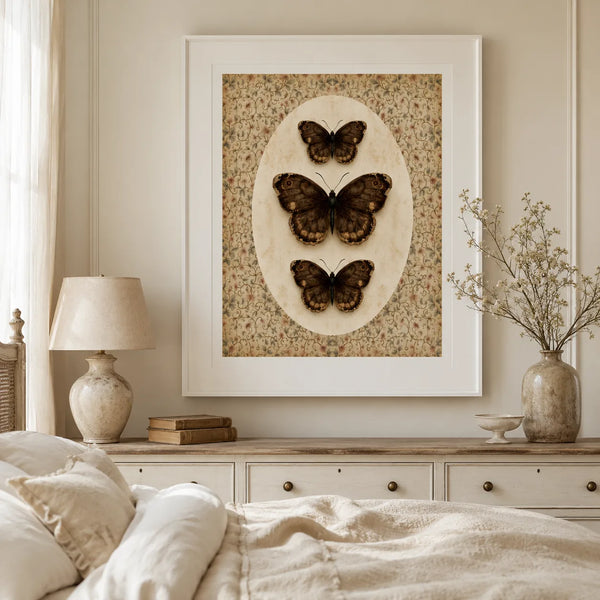 Butterfly Specimen Wall Art Decor
