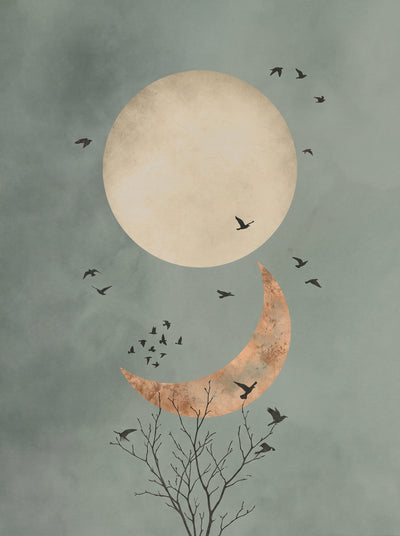 Celestial Moon and Crescent Boho Wall Art Decor