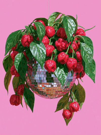 Disco Ball Chili Pepper Wall Art Decor