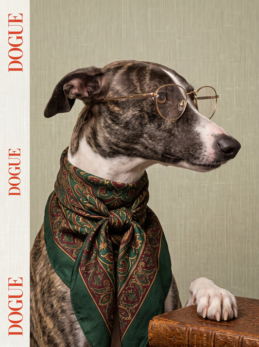 Dogue Fashion Whippet Portrait Art Print