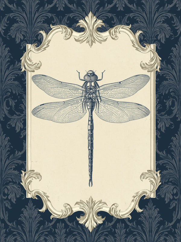 Dragonfly Victorian Engraving Wall Art Decor