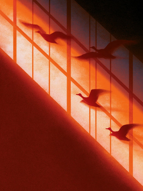 Flying Birds Sunset Wall Art Decor