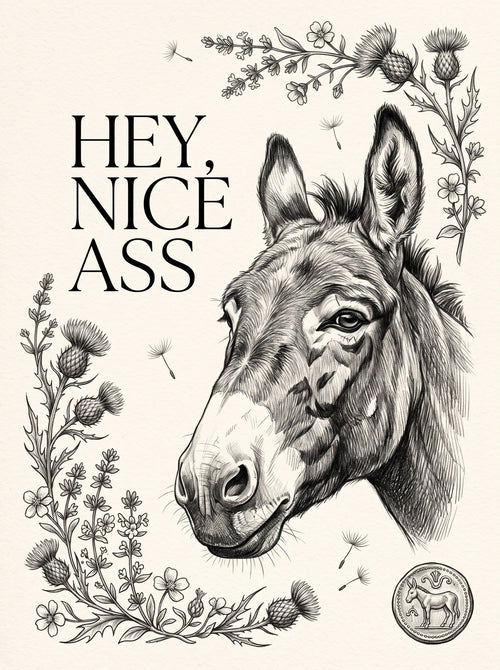 Hey Nice Ass Donkey Wall Art Decor