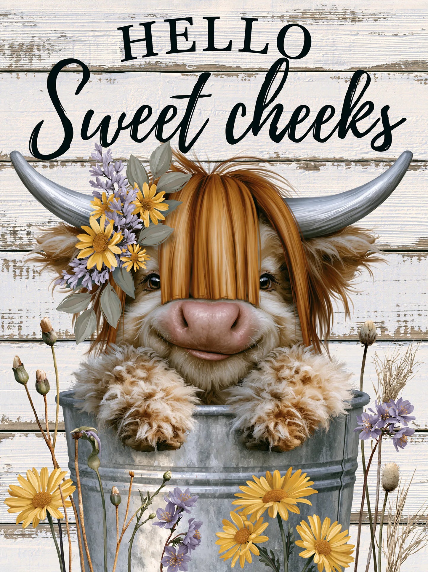Highland Cow Hello Sweet Cheeks Wall Art Decor - Wall Art Decor - front view