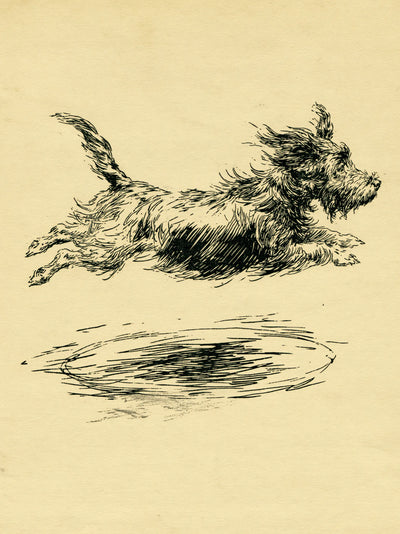 Leaping Terrier Sketch Wall Art Decor