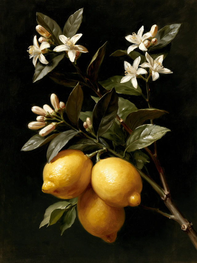 Lemon Blossom Still Life Wall Art Decor