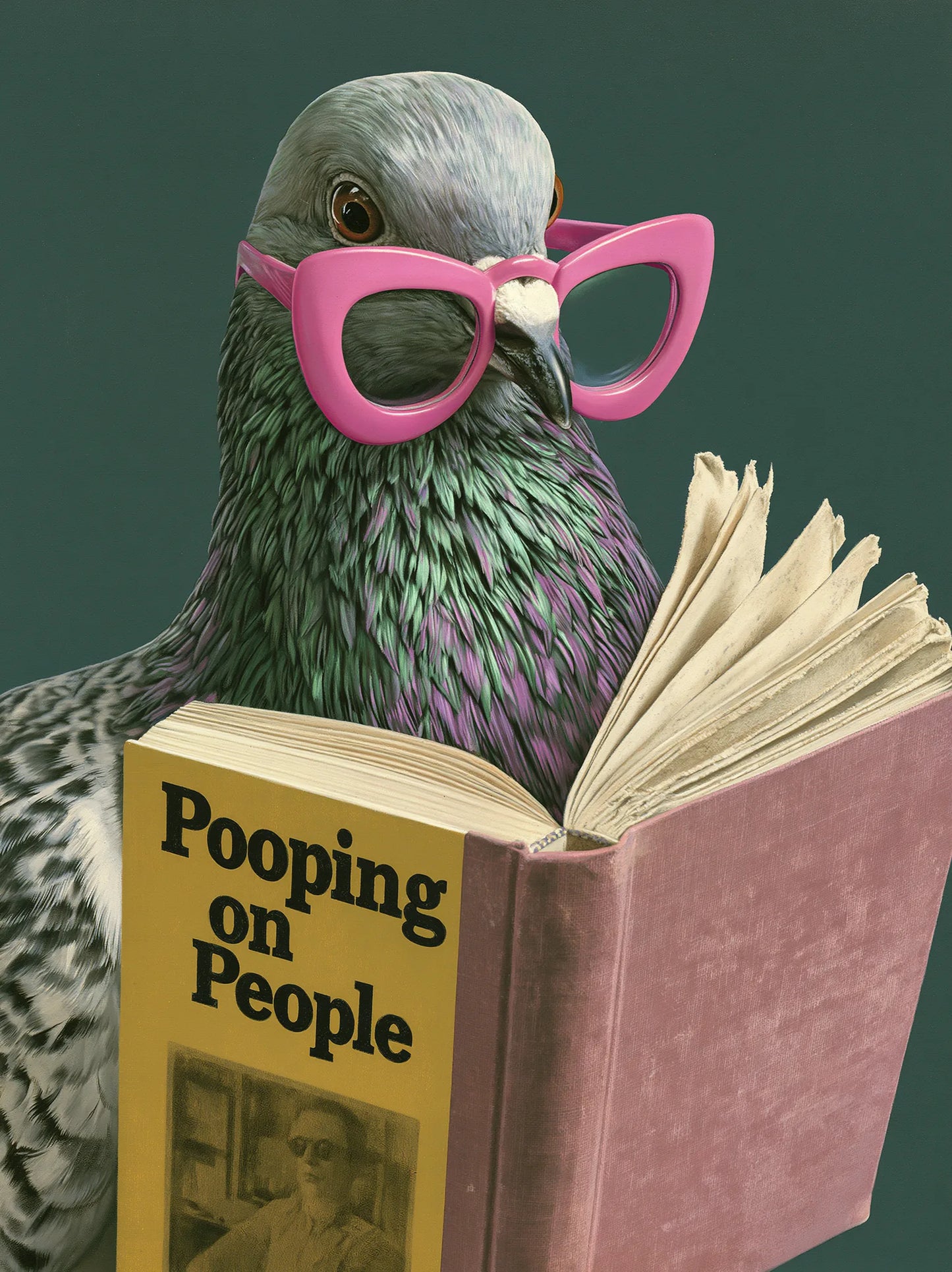 Pigeon Pooping on People Wall Art Decor - Wall Art Decor - front view