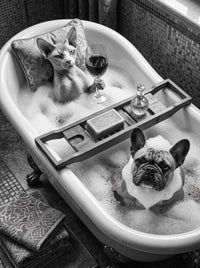 Sphynx and Frenchie Spa Bath Wall Art Decor