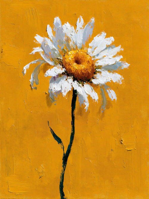 White Daisy Oil Painting Wall Art Decor